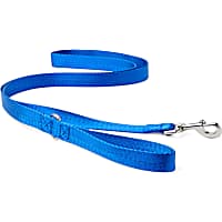 Good2Go Blue Nylon Dog Leash, 1" Width
