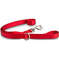 Good2Go Red Nylon Dog Leash, 1" Width