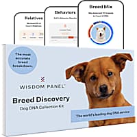 Dog dna 2025 test groupon