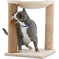 EveryYay Essentials Lookout Loft Ivory Hammock Cat Tree