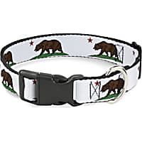 Buckle-Down Plastic Clip Collar Cali Bear White