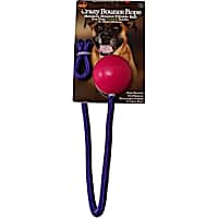 4BF Crazy Bounce Rope Pink Dog Toys