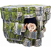 Zilla Rock Cave