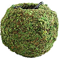 Galapagos Mossy Cave Hide