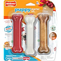 Nylabone Holiday Puppy Starter Kit Chew Toys & Treat Chicken & Bacon