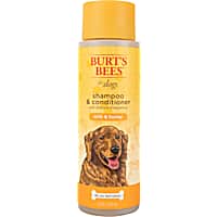 Medicated dog outlet shampoo petco