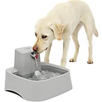 Automatic waterers for 2025 dogs
