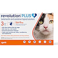 Prescription cat flea medicine discount
