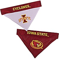 Pets First Iowa State Reversible Bandana for Dogs