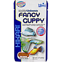 Hikari Fancy Guppy