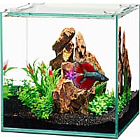 125 gallon aquarium petco outlet