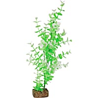 GloFish Green And White Plant Fluorescent Under Blue LED Light Aquarium Decor