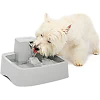 Neareal Dog Water Fountain Dispenser for Large Dogs: Automatic