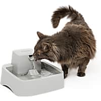 Flowing dog 2025 water bowl