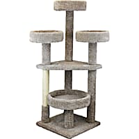 Cat condo petco top