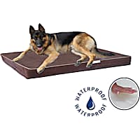 Memory Foam Dog Beds X Small to X Large Petco