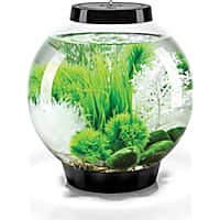 biOrb CLASSIC 15 Black Grass Field Aquarium Set with Standard Light