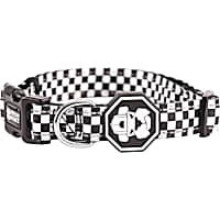 Fresh Pawz The Checkerboard Dog Collar