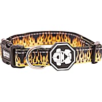 Fresh Pawz The Flame Thrower Dog Collar