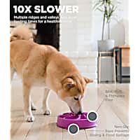 Outward Hound Fun Feeder Flower Purple Cat Bowls