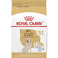 Royal Canin Breed Health Nutrition Labrador Retriever 5+ Mature Dry Dog Food