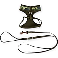 Cat and Kitten Collars Harnesses Leashes Chains Petco