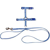 Bond & Co. Blue Seersucker for Style Kitten Harness & Leash Set