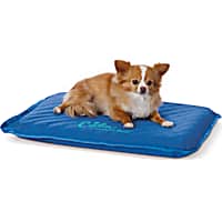 Petco cooling mat outlet