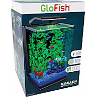 GloFish Desktop Cycle Light And Hidden Filtration Aquarium Kit