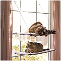 Petco window perch top