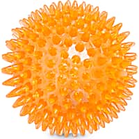 Leaps & Bounds Light-Up Spiny Ball Dog Chew Toy
