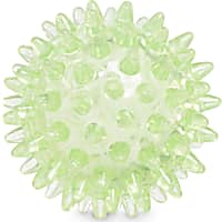 Leaps & Bounds Spiny Ball Dog Chew Toy