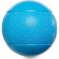 Leaps & Bounds Squeak Ball Dog Toy
