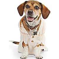 Reddy Ivory Waffle-Knit Dog Hoodie