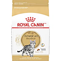Royal Canin Feline Breed Nutrition American Shorthair Adult Dry Cat Food