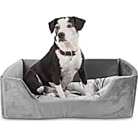 EveryYay Grey Snooze Fest Cuddler Box Dog Bed