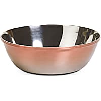 EveryYay Dining In Metallic Ombre Stainless-Steel Dog Bowl
