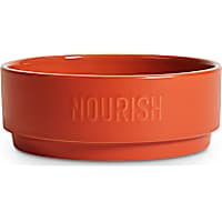 EveryYay Dining In Orange Nourish Ceramic Dog Food Bowl