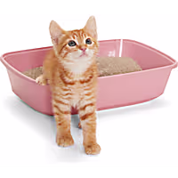 So Phresh Open Kitten Litter Box