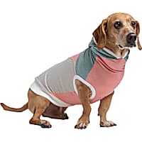 Long Dog Clothing Co. The Surfer II Sleeveless Lightweight Hoodie Dog Shirt