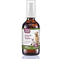Dog Cold Kennel Cough Treatments Petco