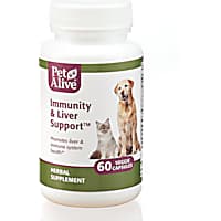 Dog Cold Kennel Cough Treatments Petco