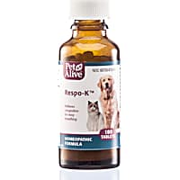 Dog Cold Kennel Cough Treatments Petco