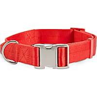 Good2Go Red Big Dog Collar with Traffic Handle