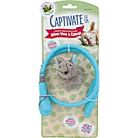 Captivate Flexi Wand Cat Toy by Hartz