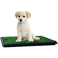 PETMAKER Puppy Potty Trainer
