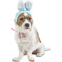 Bond & Co. Blue Bunny Bonnet Pet Cap