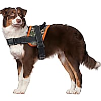 Track & Tail Hunting Harness for Dogs