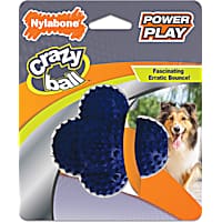 Nylabone Power Play Crazy Ball Dog Toy