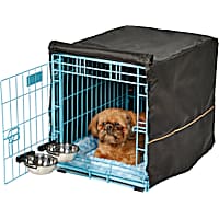 Midwest Blue iCrate Starter Kit Bundle for Dogs